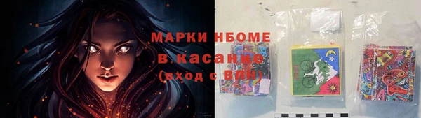 мдпв Пестово