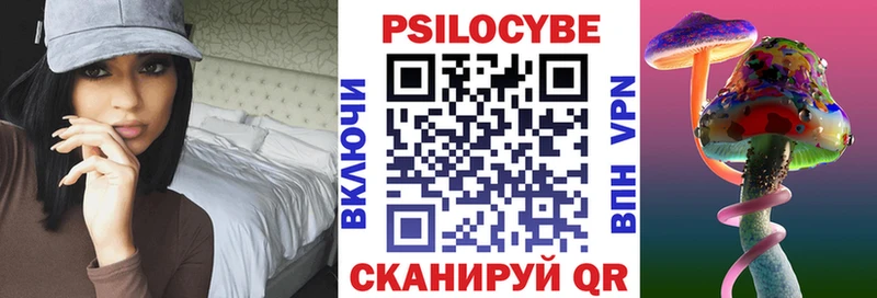 omg рабочий сайт  Миньяр  Псилоцибиновые грибы Psilocybine cubensis 